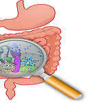 Come assumere probiotici e prebiotici per massimizzare i benefici